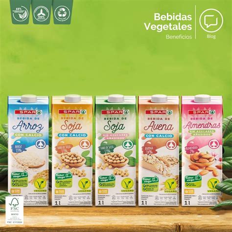 Variedad de bebidas vegetales en envases modernos y sus ingredientes principales