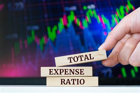 Infografía: Componentes del Total Expense Ratio (TER) y su cálculo