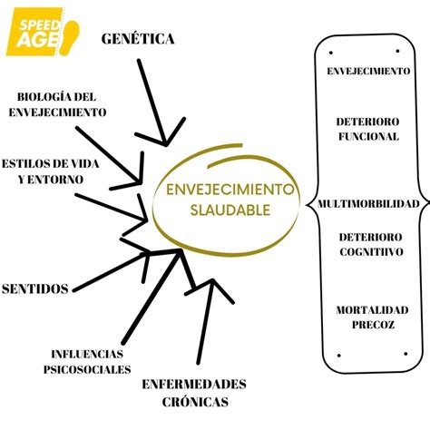 Esquema: Factores que contribuyen a un envejecimiento saludable