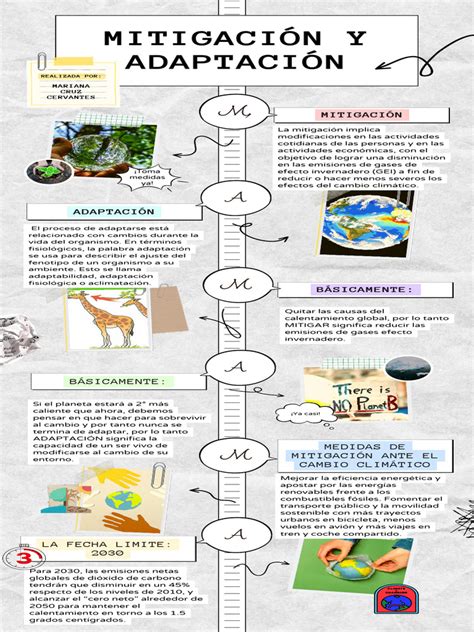 Infografía: Etapas de adaptación familiar ante la discapacidad
