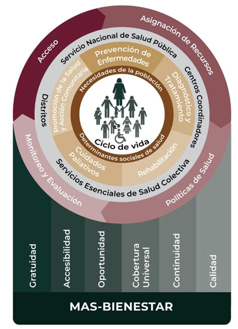 Esquema de coordinación intersectorial entre programas de salud y bienestar para personas mayores en Chile