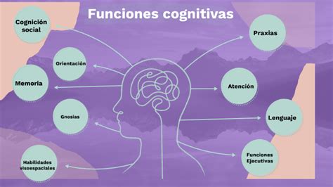Esquema de las funciones cognitivas afectadas en la discapacidad cognitiva