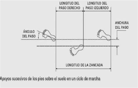 Infografía: Cambios en la marcha con la edad (velocidad, longitud del paso, cadencia)