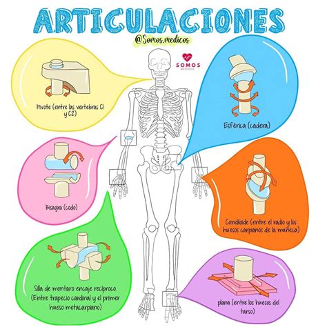 Infografía sobre el desgaste de las articulaciones con la edad