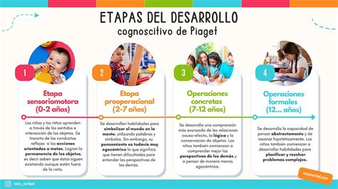 Infografía que compara las etapas del desarrollo cognitivo de Piaget (sensoriomotora, preoperacional, operaciones concretas, operaciones formales) y cómo la actividad motora contribuye a cada una.