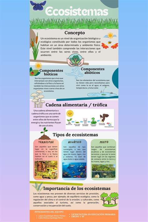 Infografía sobre los tipos de coordinación