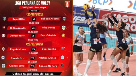 Infografía comparativa de la profesionalización del vóley masculino en Perú y otros países