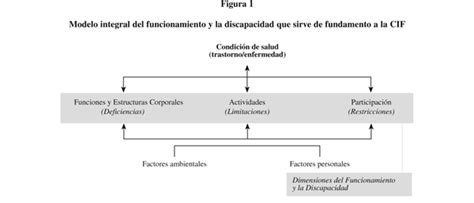 Diagrama simplificado del modelo CIF de la OMS, mostrando la interacción entre funciones corporales, actividad y participación.