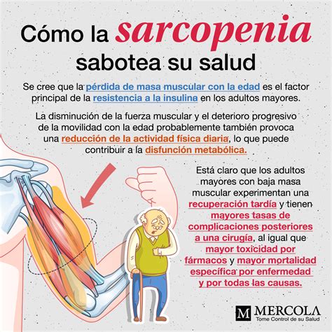 Infografía explicando la pérdida de masa muscular con la edad (sarcopenia)
