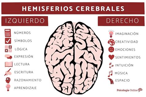 Infografía: funciones atribuidas al hemisferio cerebral derecho