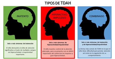 Gráfico que muestra los tres tipos de TDAH: predominantemente inatento, predominantemente hiperactivo-impulsivo y combinado.