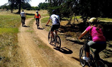Adulto mayor disfrutando de un paseo en bicicleta por un sendero