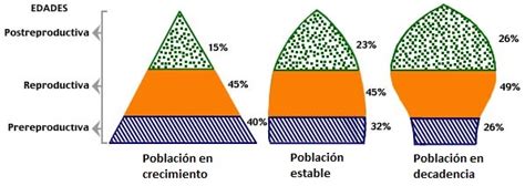 Esquema de la distribución etaria global y la proyección de crecimiento de la población mayor
