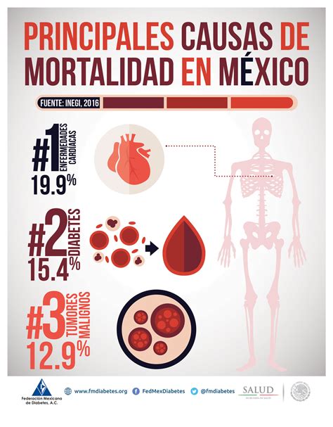 Infografía: principales causas de mortalidad en adultos mayores en Chile (cánceres, enfermedades cardiovasculares, cerebrovasculares)