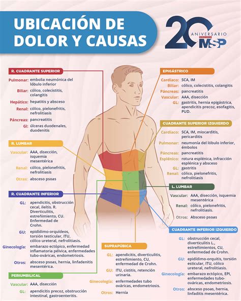 diagrama de causas de dolor de hombro