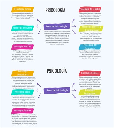 Esquema de las diversas áreas de la kinesiología gerontológica