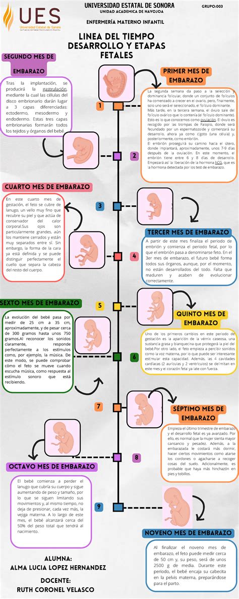 Infografía que muestra la línea de tiempo del embarazo y la clasificación de la prematurez: extremo, muy prematuro y prematuro moderado a tardío.