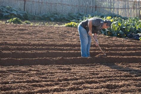 Luis Aguas trabajando la tierra con sus pies en su finca de Sincelejo