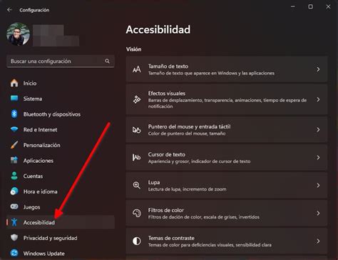 Esquema de las principales categorías de accesibilidad en Windows