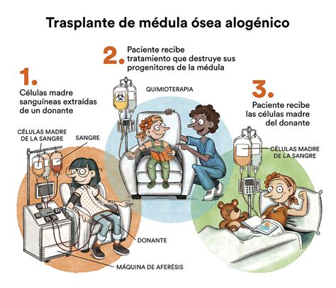 Esquema de las indicaciones y tipos de pacientes aptos para cuidados domiciliarios