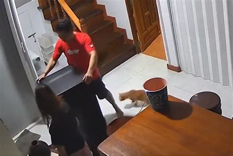 Dueño de gato y cuidador conversando mientras un gato observa curiosamente