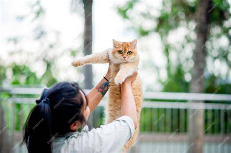 Cuidador de gatos alimentando y jugando con un gato