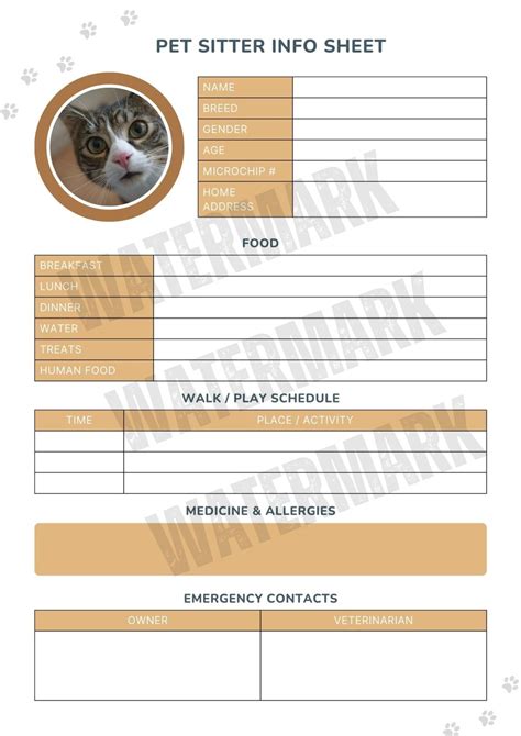 Lista de instrucciones detalladas para el cuidador de gatos