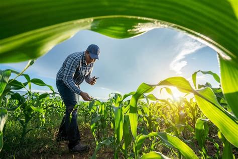 Foto: Jóvenes agricultores trabajando en el campo con asesoría técnica
