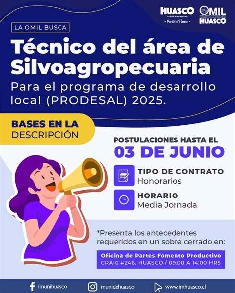 Representación gráfica del proceso de postulación a un concurso público municipal