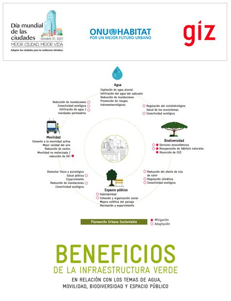 Infografía: Beneficios de la infraestructura adecuada en clubes de adulto mayor