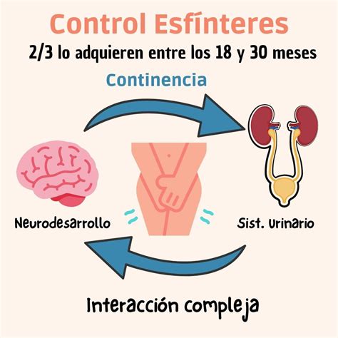 Comparación del control de la contracción esfinteriana: control efectivo (A) y fuga de orina (B)