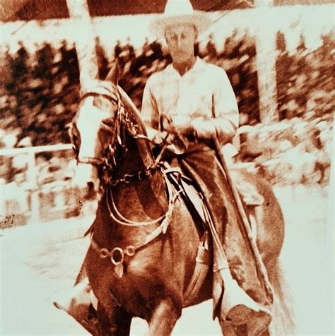 Retrato del caballo Don Danilo