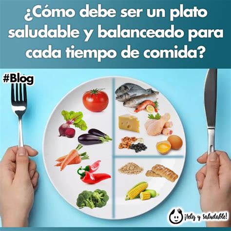 Plato de comida balanceada para un perro grande