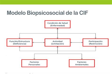 Diagrama del modelo biopsicosocial de la CIF, mostrando la interacción entre condición de salud, funciones corporales/estructuras, actividad, participación y factores contextuales