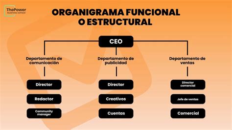 Infografía que detalla el organigrama y funciones principales de la Dirección de Desarrollo Integral de las Personas Mayores