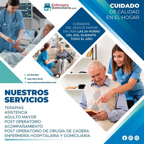 Infografía comparativa: Servicios de cuidado (paseadores, cuidadores a domicilio, guarderías y residencias)