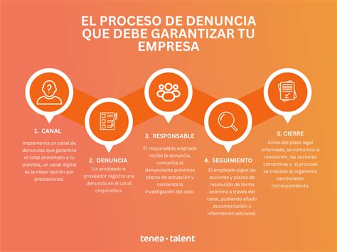 Infografía sobre el proceso de denuncia y solicitud de protección legal