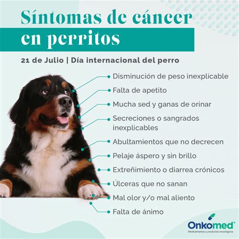 Infografía comparando síntomas tempranos y tardíos del cáncer en perros.
