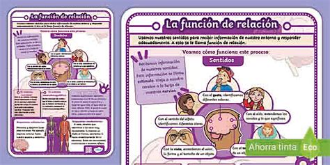 Infografía mostrando la relación entre voluntariado, participación familiar y mejora del rendimiento escolar.