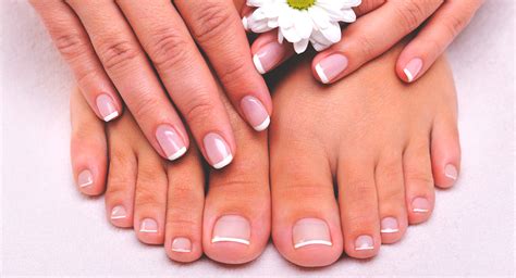 Esquema de las manos y pies con herramientas para el corte de uñas