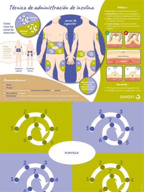 Infografía: Esquema de los lugares recomendados para la inyección de insulina (abdomen, muslos, nalgas y brazos) con indicaciones de rotación.