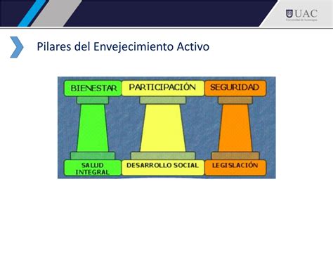 Esquema que muestra los pilares del envejecimiento activo: salud física, estimulación cognitiva y participación social.