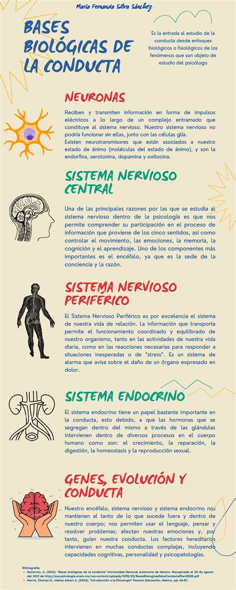 Infografía sobre las causas biológicas, genéticas y ambientales que pueden derivar en una discapacidad intelectual severa o profunda.