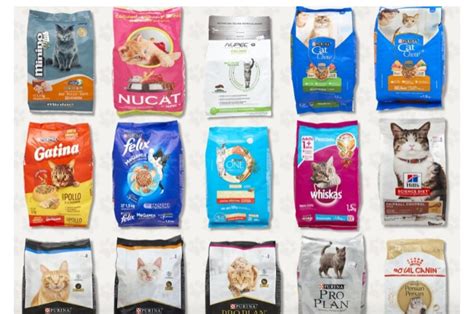Infografía: Beneficios nutricionales clave de alimentos para gatos de interior