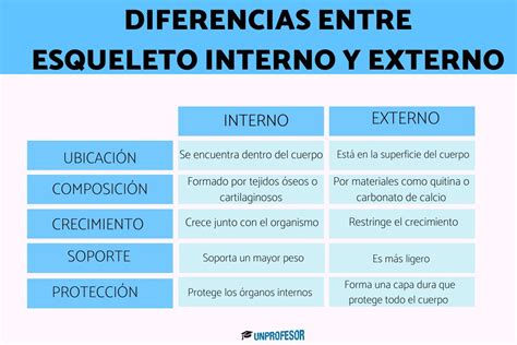 Ilustración que muestra las diferencias entre sangrado interno y externo.