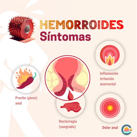 Ilustración que muestra los diferentes síntomas de sangrado interno y externo.