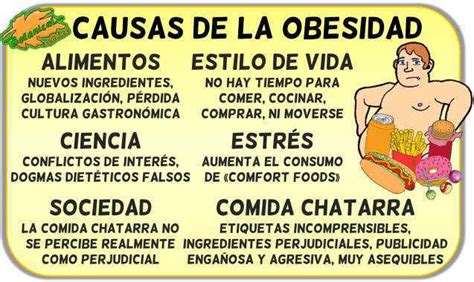 Infografía que detalla las principales causas de la obesidad.