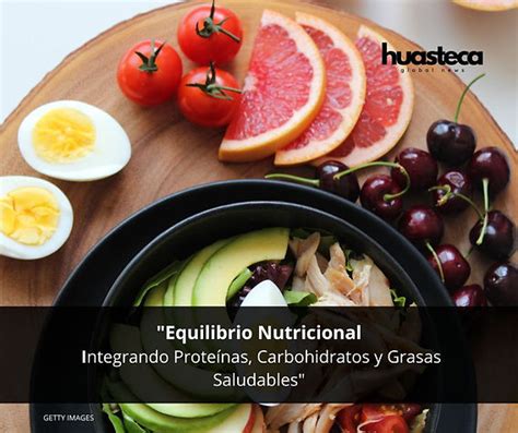 Esquema nutricional que muestra el equilibrio entre proteínas, grasas y vitaminas en la dieta felina.
