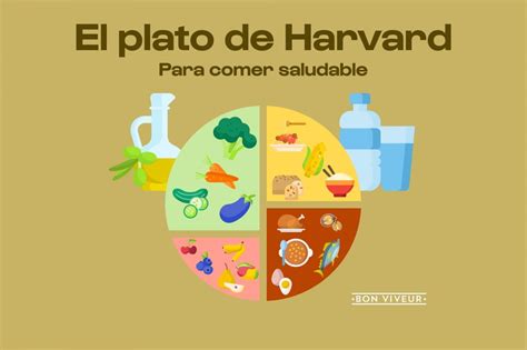 Esquema visual del método del plato de Harvard adaptado para mayores