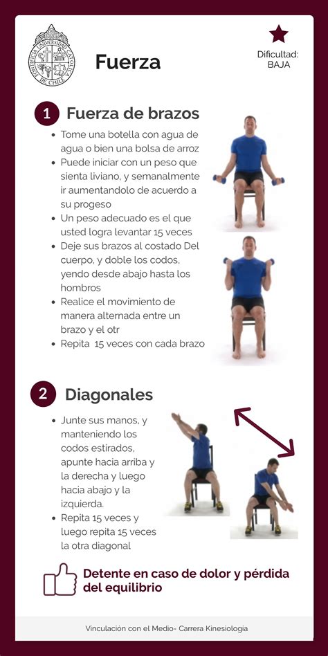 Esquema: Ejercicios recomendados para mejorar la movilidad y la fuerza en adultos mayores.